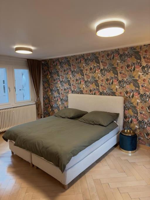 Suesse Wohnung In Zuercher Altstadt 3 Цюрих Экстерьер фото